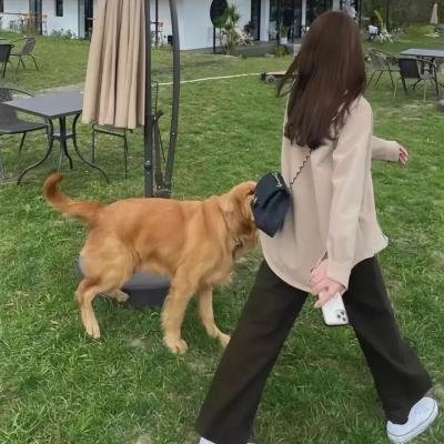 无限纯白的你